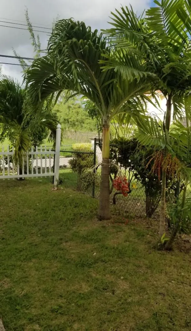 Cynson Villa Holiday Accommodations location